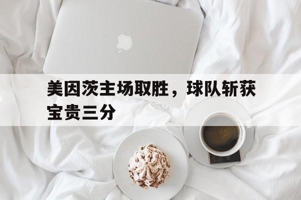 美因茨主场取胜,球队斩获宝贵三分的简单介绍